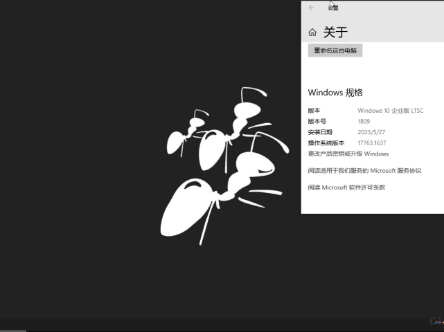 博猪二次优化！老方家Windows10蚂蚁多开系统，搬砖专用。